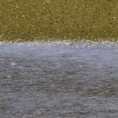 금산다락원 청산아트홀 이미지