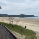 태안바다 이미지