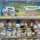 모토랜드프라자 이미지