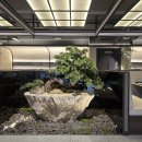 삼성갈비 | 부모님 모시고 가기 좋은 삼성동 맛집 국보가든 삼성본점 설화 양념갈비 후기