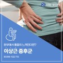 송파나루 정형외과, 이상근 증후군 증상은? 이미지