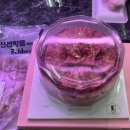 진주 한우 케이크 추천 [만재고기] 아빠 환갑 케이크 후기
