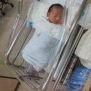 아이작 미사점 | 분만후기)보라매서울대병원 38주 2일 김병재선생님, 제왕절개, 니큐(NICU), 출산 기록
