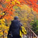 만복여관 이미지