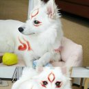 똥강아지 이미지