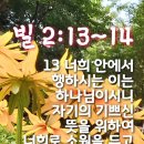 소원없이