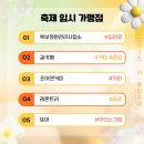 2025 섬 튤립축제 이미지