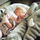 착한인형 이미지