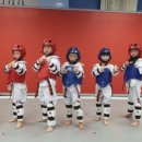 KTC태권도장 이미지