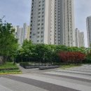 산내마을9단지 운정힐스테이트 이미지