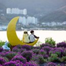 진성코리아 이미지