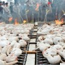 콩닥 동물병원 이미지