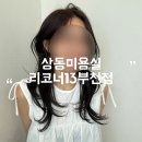 르노삼성자동차서비스코너 상동점 | 리코너13부천점 : 부천 상동미용실 염색 샌드컷 솔직후기