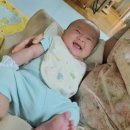 방글방글어린이집 이미지