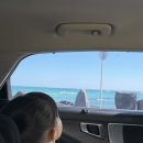 명진목장 이미지