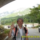 생태다리 이미지