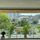 양산대로 이미지