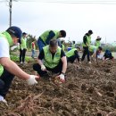 자매유통 이미지