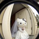 루아스포사 | W1-6 인생 첫 대전 웨딩드레스 샵 루아스포사 계약 후기