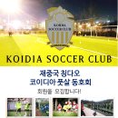 코이디아 이미지