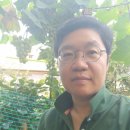 자몽공인중개사사무소 이미지