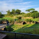 제주반디하우스 이미지