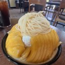 류온 | 행궁동 디저트 맛집! 류온(RYUON) 망고 빙수가 맛있는 카페
