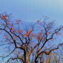 이*경 - 미추홀구 석정로 442-10 | 이*경