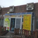 곰카센타 이미지