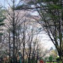 서운동산 이미지