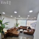보라로운 이미지
