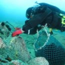 장호2리 이미지