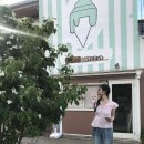 지혜원 카카오 검색결과