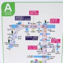 용인운전면허시험장 이미지