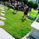 쌍도하우스 이미지