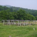 베스트농장 이미지