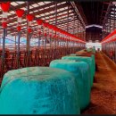 동선축사 이미지