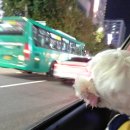 뚜레쥬르 판교파미어스몰점