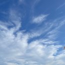 카페37연천휴게소