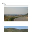 내곡2리 Daum카페