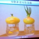 씨제이에듀