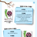 일본어 2단계 이미지