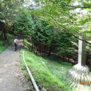 반추된 힘 이미지