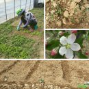 약용식물과 건강약선 이미지