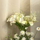 청심로132번길 | [썬밸리호텔웨딩] 여주 이천 본식 부케 카라 부케 컬러 부케 웨딩부케