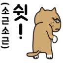 Park's Hair