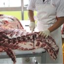 엄씨네농장 네이버블로그