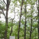 낙양사 | 속리산국립공원 도명산 643m 등산및 화양구곡 탐방기