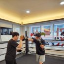 슈가복싱클럽 이미지