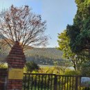 그림으로 만나는 힐링 보테니컬 아트 이미지